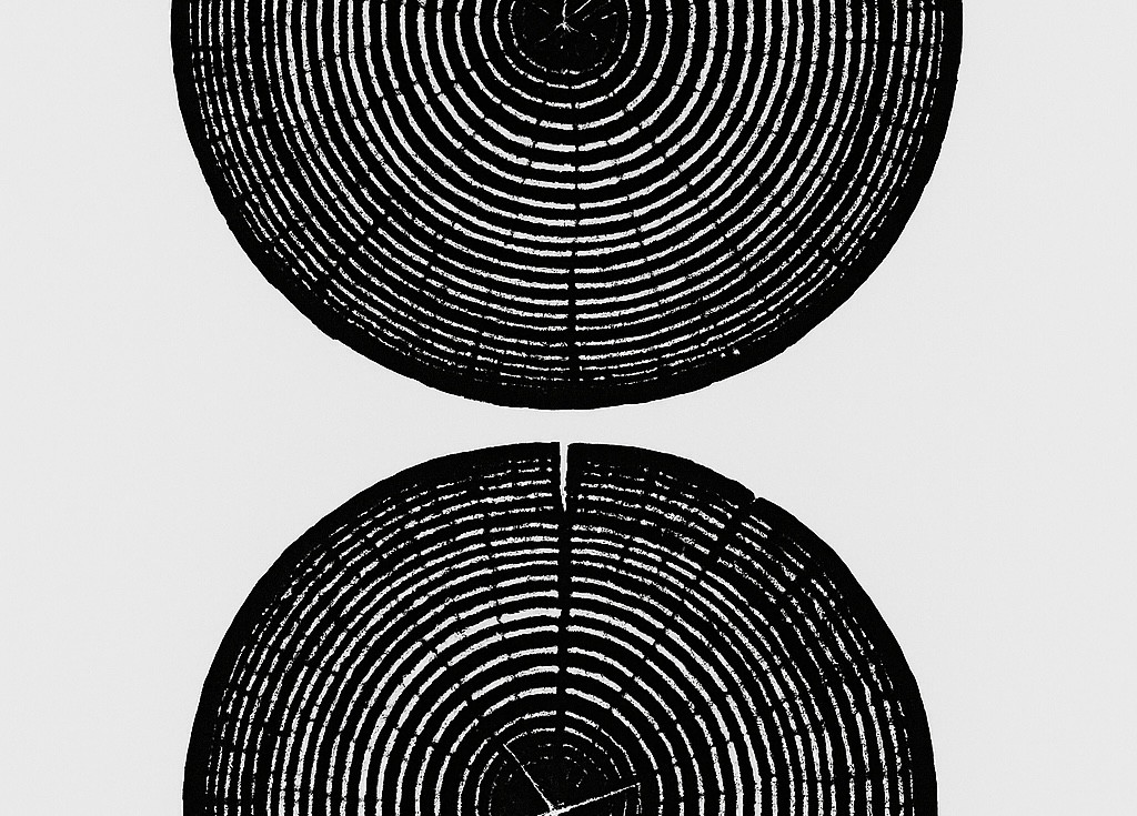 Tree ring print framed